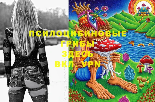 СК Богданович