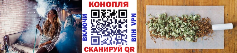 Конопля сатива Бикин